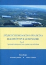 Spójność ekonomiczno-społeczna regionów Unii Europejskiej Tom 2