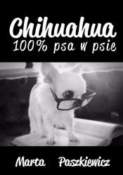 Chihuahua 100% psa w psie - Paszkiewicz Marta