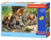 Puzzle The Shell Game 260 elementów
