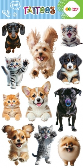 Tatuaże zmywalne - Best Friends