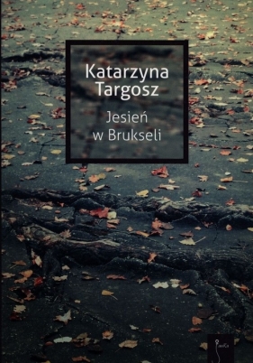 Jesień w Brukseli - Katarzyna Targosz