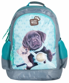 Plecak studio Pets PEF-116 - PASO