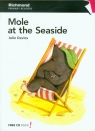 Primary Readers 1 Mole at the Seaside