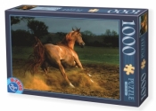 Puzzle 1000: Galopujący koń