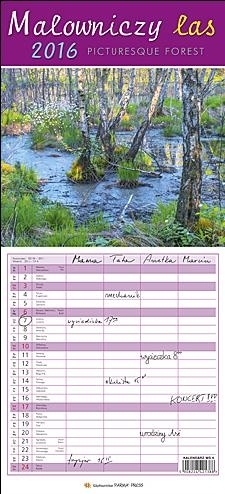Kalendarz Planer Malowniczy las 2016