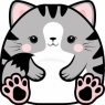Karnet Uniwersalny - Chonky Cat