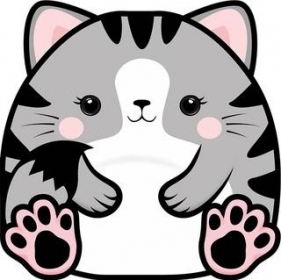 Karnet Uniwersalny - Chonky Cat