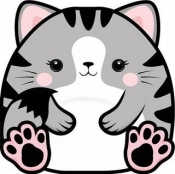 Karnet Uniwersalny - Chonky Cat