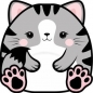 Karnet Uniwersalny - Chonky Cat