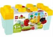 LEGO(R) DUPLO 10984 (2szt) Ogród uprawowy