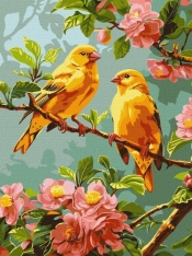 Malowanie po numerach - Wiosenne kanarki 30x40cm