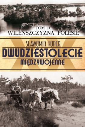 Wileńszczyzna Polesie Tom 13 - Koper Sławomir<br />