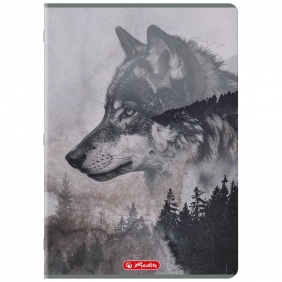 Zeszyt Herlitz Standard Wild A4/96k kratka z marginesem, 1 szt