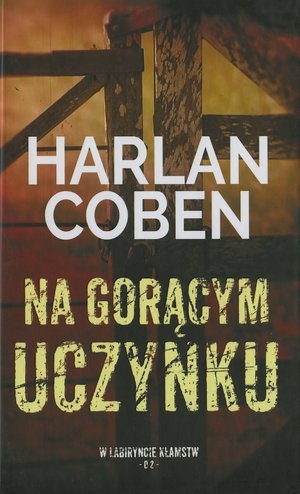 Na gorącym uczynku. Kolekcja W labiryncie kłamstw. Tom 2