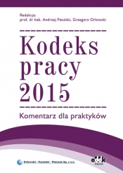 Kodeks pracy 2015 Komentarz dla praktyków - <br />
