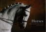 Horses  Arthus-Bertrand Yann