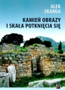 Kamień obrazy i skała potknięcia się Alek Skarga
