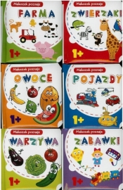 Maluszek poznaje MIX 10x10 (18szt) - Ewa Gorzkowska-Parnas