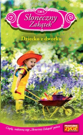Słoneczny Zakątek Tom 3 Dziecko z dworku - Patricia Vandenberg