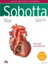 Atlas anatomii człowieka Sobotta. Łacińskie mianownictwo. Tom 2. Narządy
