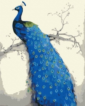 Obraz Malowanie po numerach - Niebieski paw (BS52249)