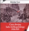 Czyn zbrojny ludu wielkopolskiego 1918 - 1919