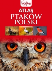 Atlas ptaków Polski - Łukasz Przybyłowicz, Anna Przybyłowicz