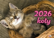 Kalendarz 2026 Koty