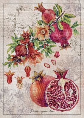 Puzzle 1000: Botanic 5 Pomegranate