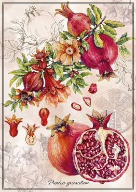 Puzzle 1000: Botanic 5 - Pomegranate