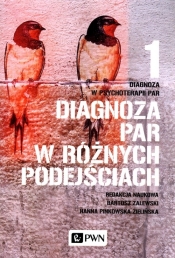 Diagnoza w psychoterapii par Tom 1 - Hanna Pinkowska-Zielińska, Bartosz Zalewski