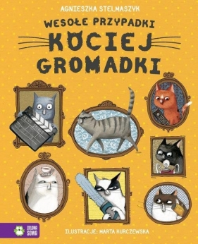 Wesołe przypadki kociej gromadki - Agnieszka Stelmaszyk