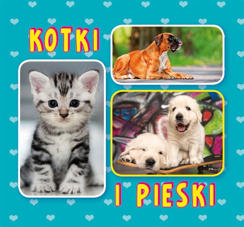 Kotki i pieski