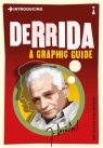 Introducing Derrida Jeff Collins