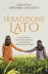 Skradzione lato (wyd. kieszonkowe)