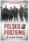 Polskie podziemie w oczach wroga Tajny raport dowództwa niemieckiego