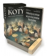  Koty. Mistyczna wyrocznia (karty)
