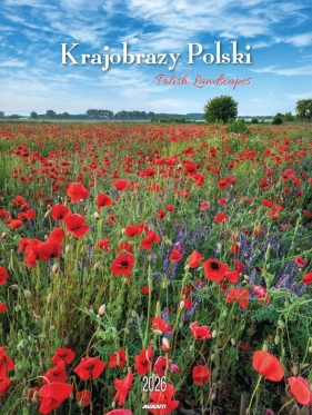 Kalendarz ścienny mały 2026 - Krajobrazy Polski
