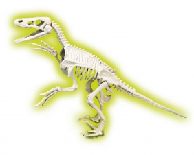 Naukowa Zabawa: Skamieniałości Welociraptor (50639)