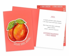 Karnet B6 Uniwersalny brzoskwinia