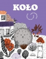  Koło
