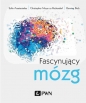 Fascynujący mózg - Henning Beck, Sofia Anastasiadou, Christopher Meyer zu Reckendorf