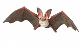 Nietoperz