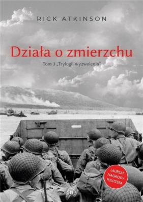 Działa o zmierzchu. Wojna w Europie Zachodniej - Rick Atkinson