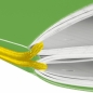Notatnik my.book Flex A4/2x40k linia, kratka - zielony (11361458)