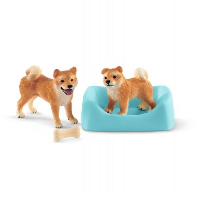 <img src='https://webimage.pl/pics/395/1/d4059433311395.jpg' style='height:440px' /> Shiba inu matka i szczenięta SLH42479