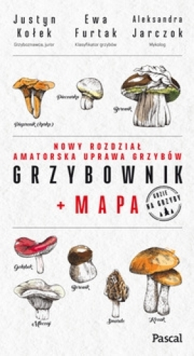 Grzybownik+mapa - Justyn Kołek, Ewa Furtak, Aleksandra Jarczok