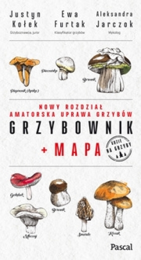 Grzybownik+mapa - Kołek Justyn, Furtak Ewa, Jarczok Aleksandra
