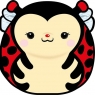  Karnet Uniwersalny - Chonky Ladybug