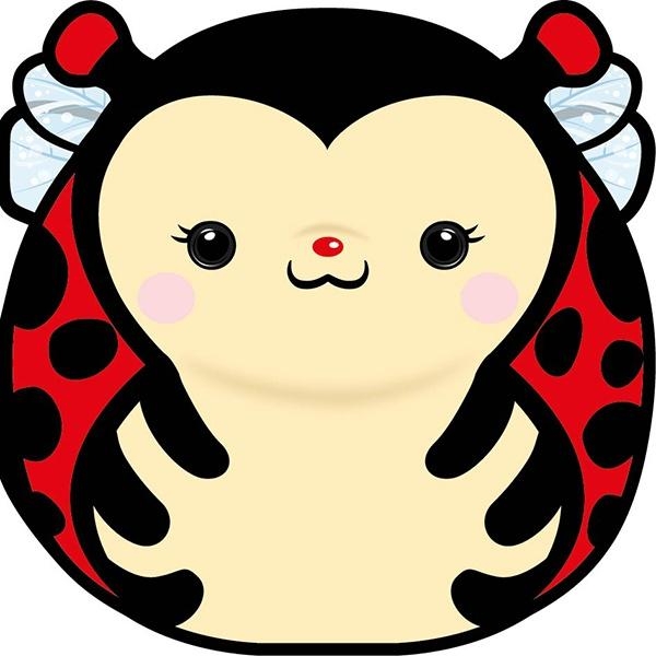 Karnet Uniwersalny - Chonky Ladybug